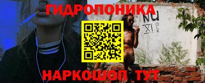 шишки Краснознаменск