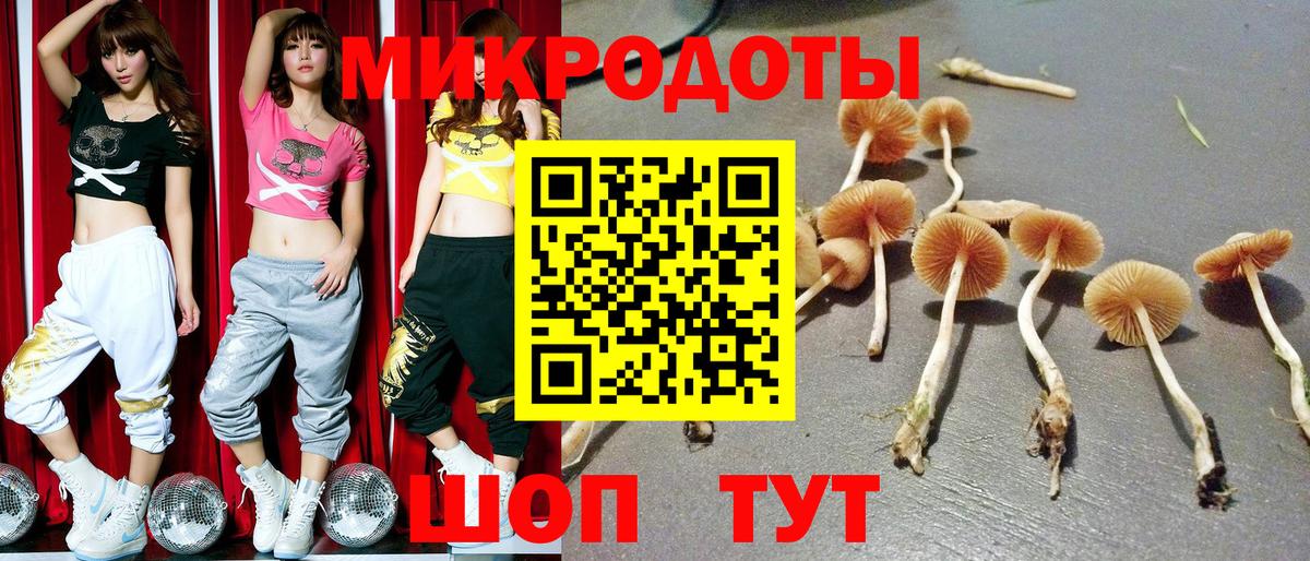Гусев  Псилоцибиновые грибы ЛСД  где купить наркоту  Вход с VPN 